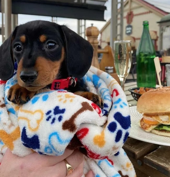 Gallery photo 4: Cafe design aesthetic